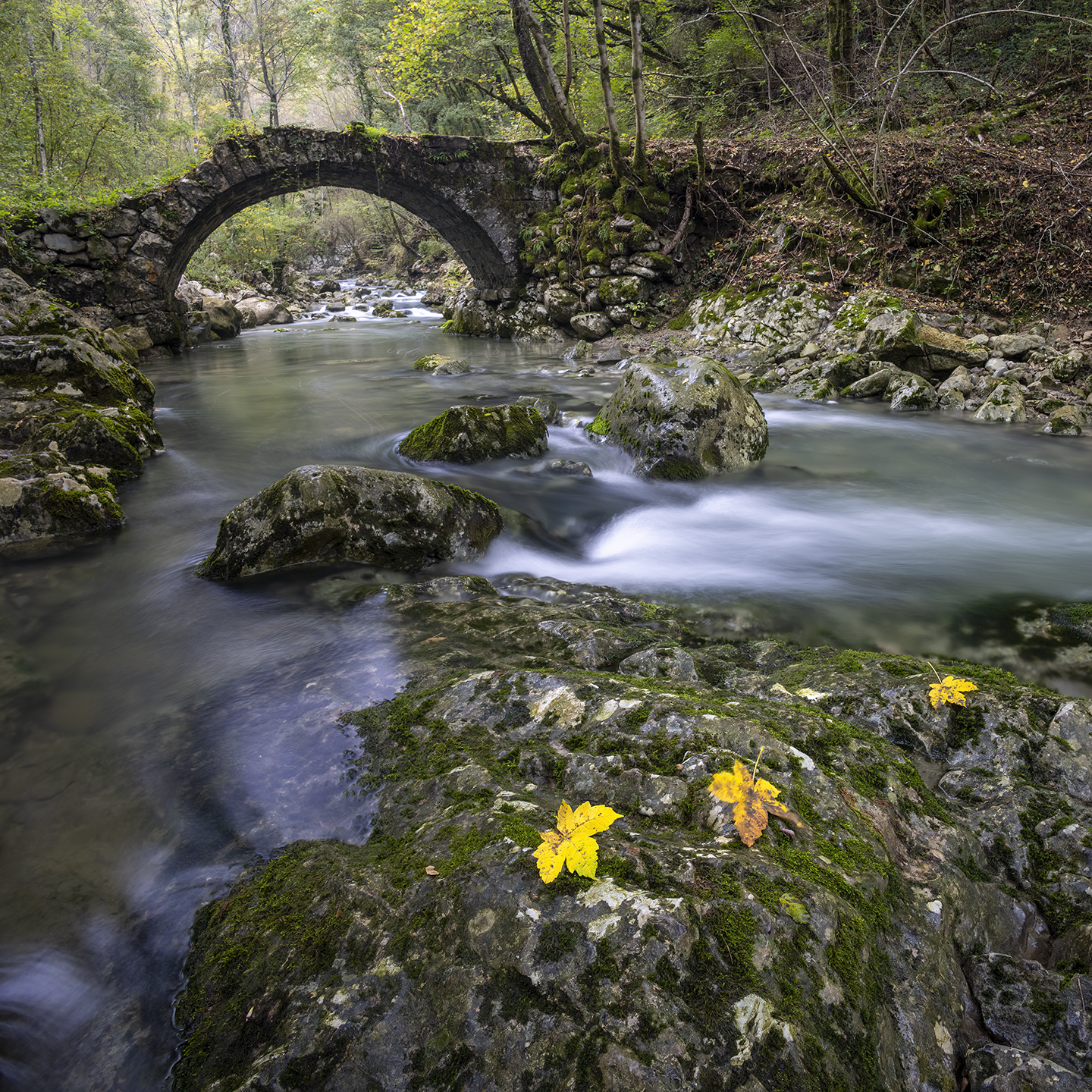 rocks and water