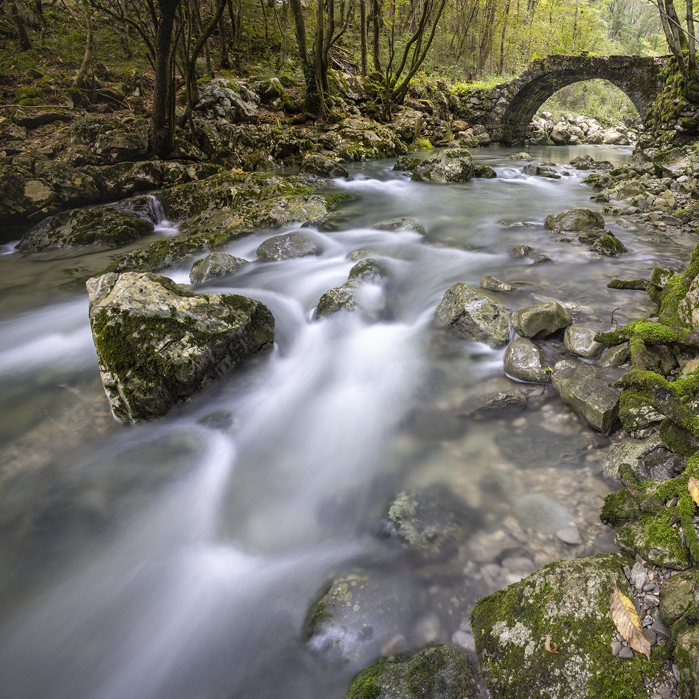 rocks and water