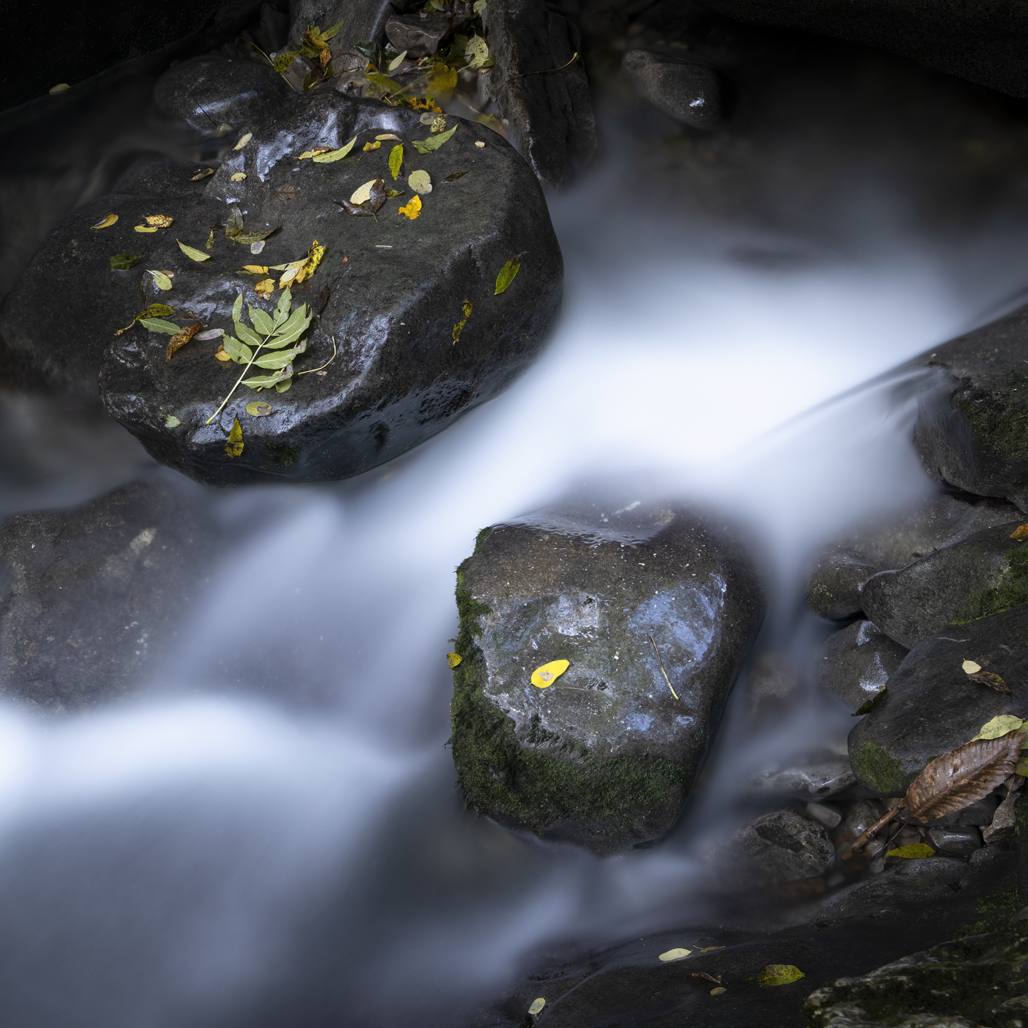 rocks and water